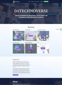 Ds Technoverse Website Layout